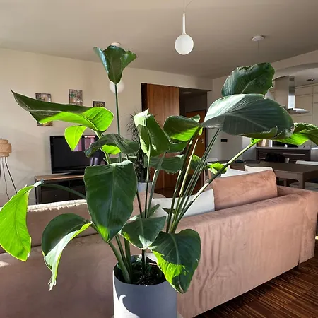 Triple Bridge Ljubljana