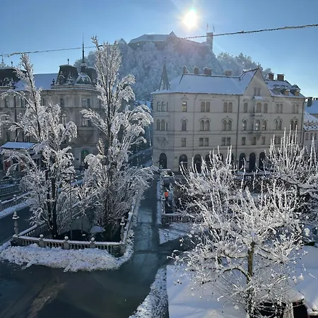 Triple Bridge Lejlighed *