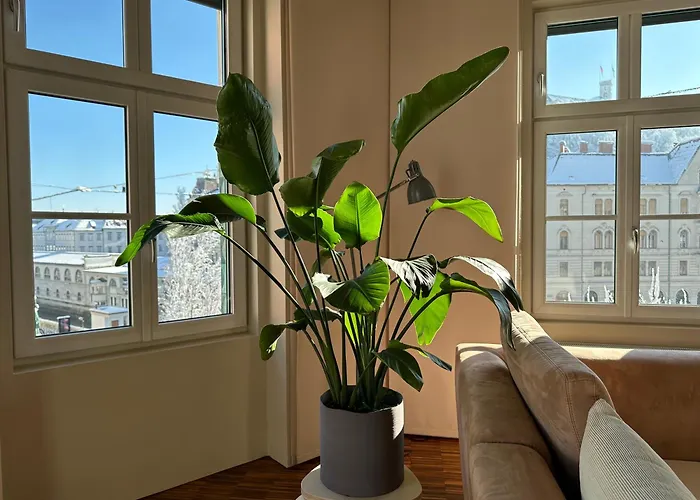 Triple Bridge Apartmán