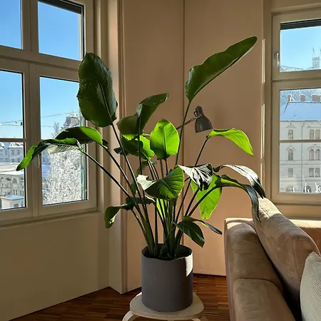 Triple Bridge 公寓