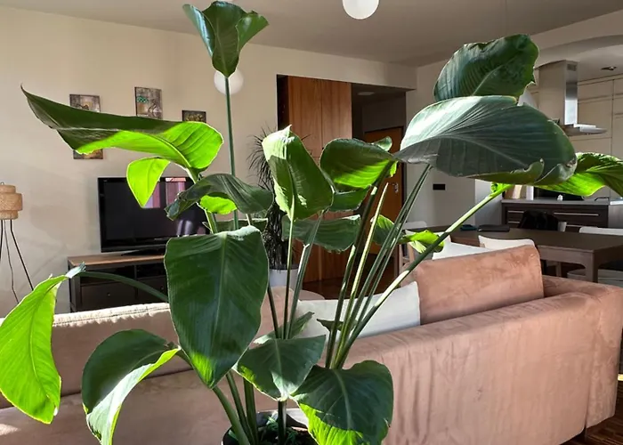 Triple Bridge Λιουμπλιάνα