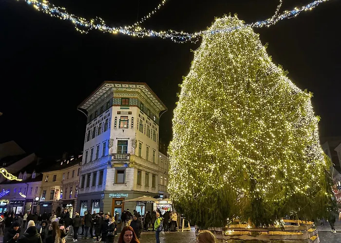 Διαμέρισμα Triple Bridge